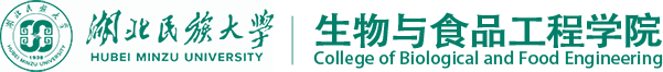 德甲官网首页