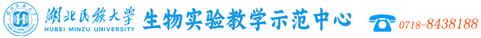 德甲官网首页