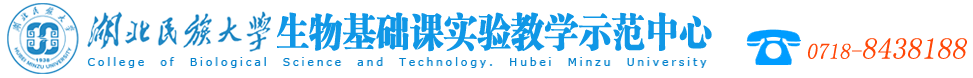 德甲官网首页