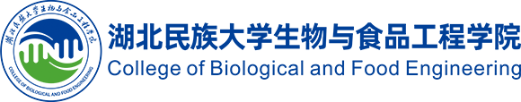 德甲官网首页