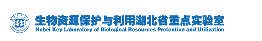 德甲官网首页