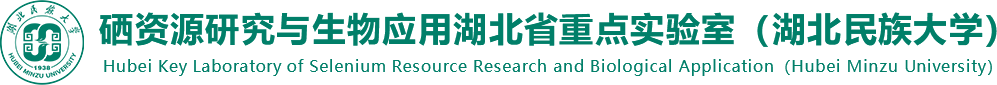 德甲官网首页
