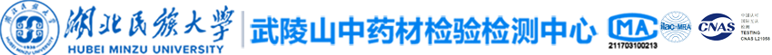 德甲官网首页